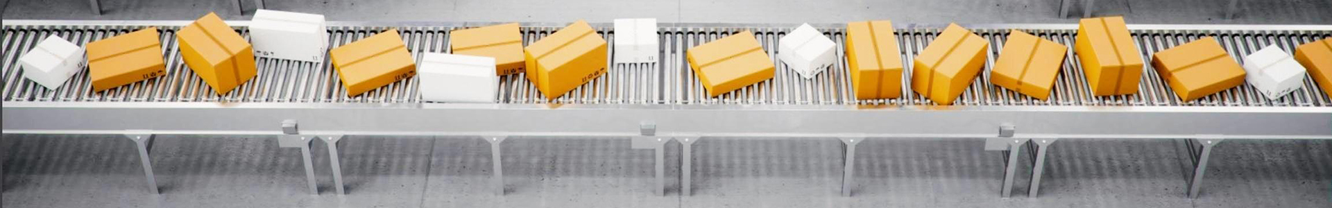 कस्टम कन्वेयर सिस्टम